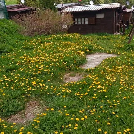 Campeggio Chisonetto キャンプ場 *